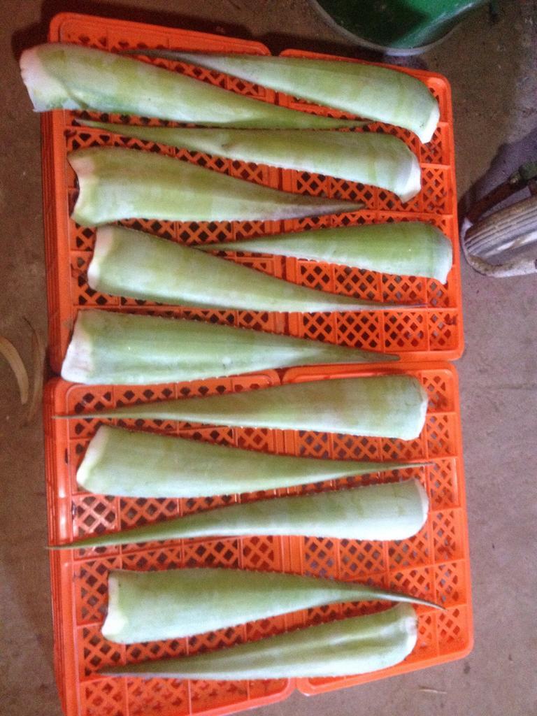 AloeVeraSpain's tweet photo. Saja! Your box of fresh Aloe Vera products is underway. It will arrive in London on Thursday.  Thanks for enthusiasm! http://t.co/jMNkWzZH0q