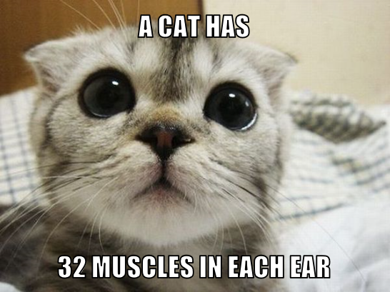 DailyKnowledge2's tweet image. 