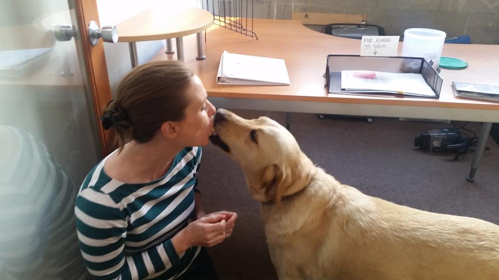 FoundAnimalsOrg's tweet image. Kisses too! Luckily, her tag and microchip saved the day! #MicrochipMonday