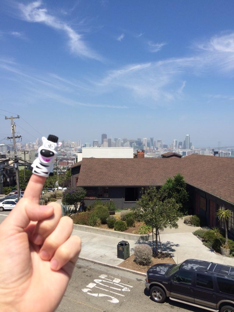 bdgreen2's tweet photo. Zip's enjoying the unseasonably hot weather in #SF. Honey Bunny, not so much. #digipuppets #endofsummer http://t.co/aAcCCbXxMv