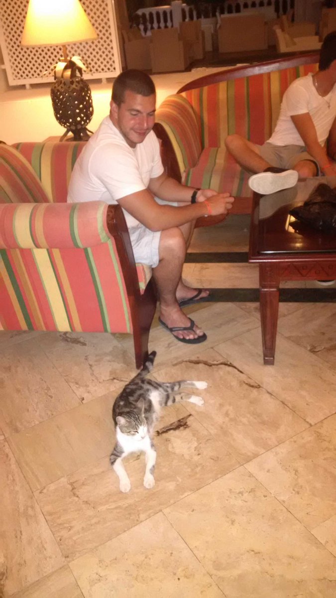 frankTML's tweet image. Ladies and gentlemen, Chris the Cat Whisperer :) @cdandreaa @nickdandrea_