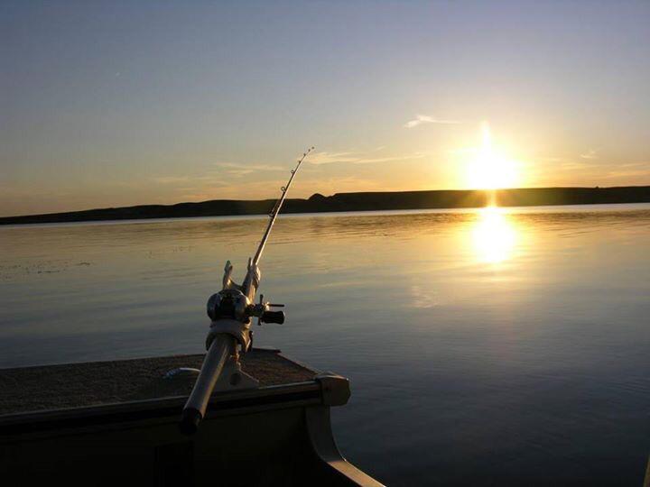 McKibbenRealty's tweet photo. Catfish are plentiful at #GrandLakeOK, including #bluecatfish, #channelcatfish, #spoonbillcatfish and more. http://t.co/b8d2L6DWe6