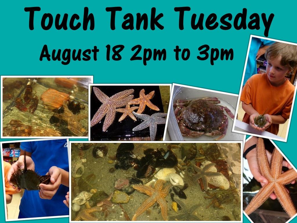 Kennebunk Toy Co. (KennebunkToyCo) Twitter