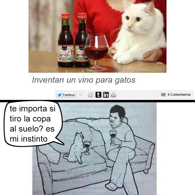 yisucrist's tweet photo. ya lo he visto todo en esta puta bida http://t.co/fVEW3A1khq