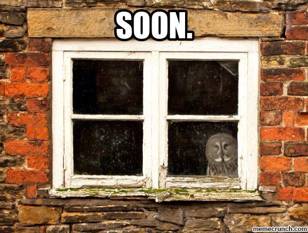 Brown Party Liquor tweet media