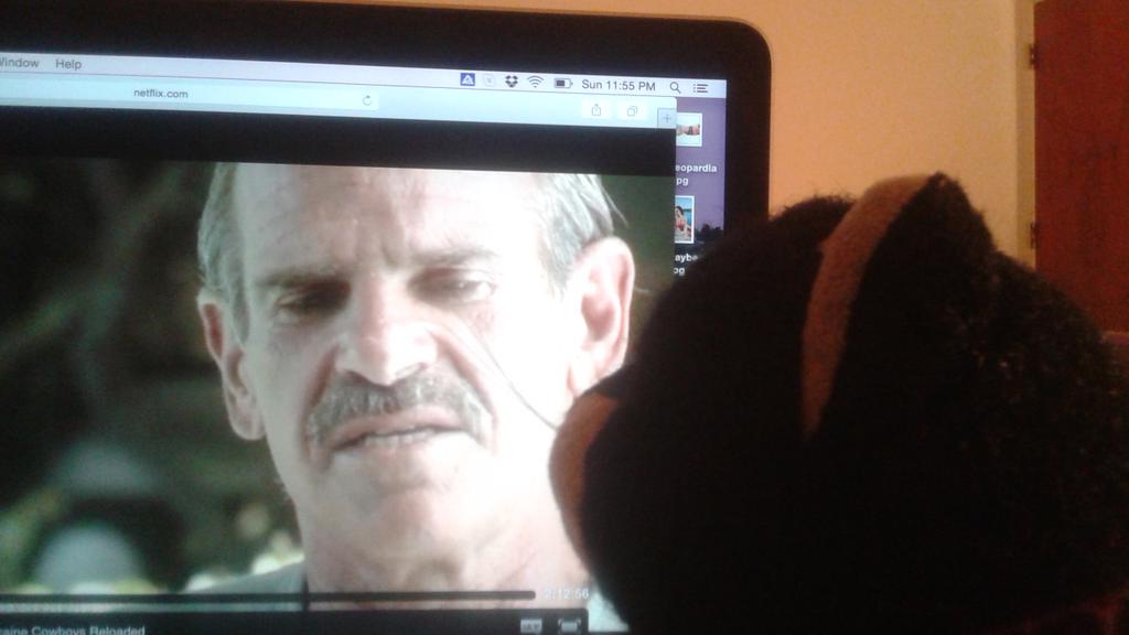 socksstclaire's tweet photo. My #ManCrushMonday #jonroberts #americandesperado #cocainecowboy..I have a beauty that attracts dangerous men http://t.co/WEhk45Uj60