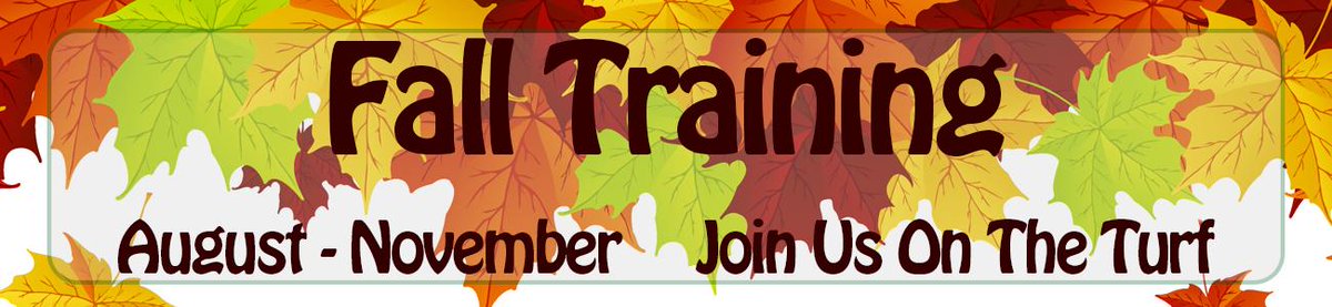 Carolina All Stars tweet media