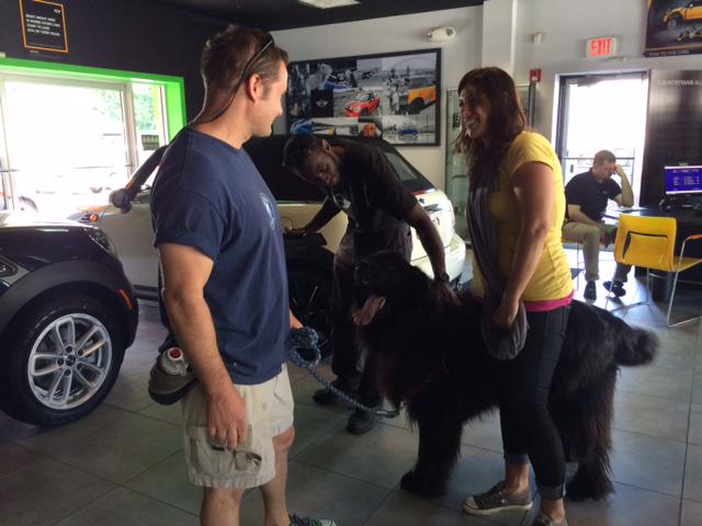 MINIMainLine's tweet image. Meet our friend, Cnut! He's a PRO when it comes to loading in his Hardtop! Yep, we're a dog-friendly establishment!