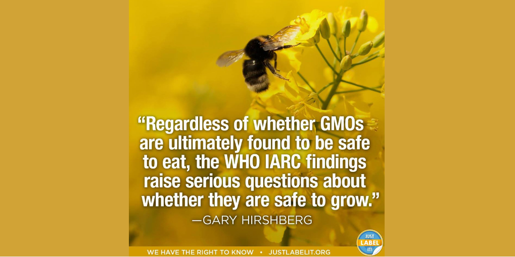 justlabelit's tweet photo. Poll after poll reveals that people just want to know what they are eating. https://t.co/7oIspIcpSh #justlabelit #GMO http://t.co/oyMxO3DQw7
