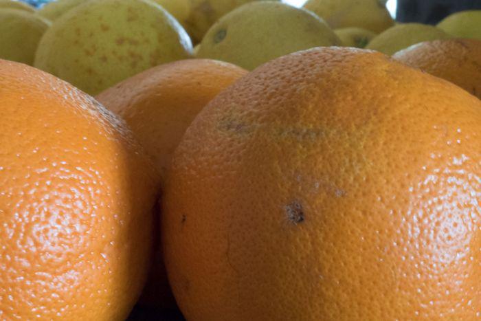 abcnews's tweet photo. #Adelaide couple design website, Ripe Near Me, connecting produce with people via @891adelaide http://t.co/fmJOznyvjq http://t.co/snYqCPSph7