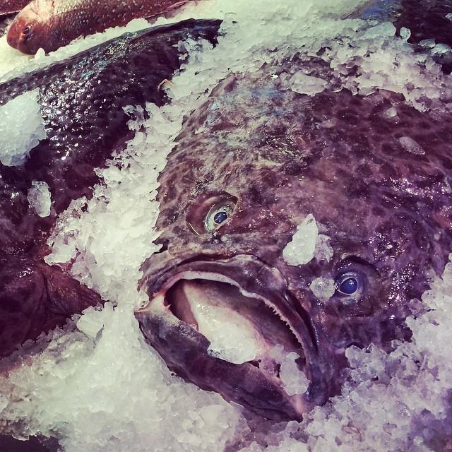 We have a verity of species for all cooking methods, if your unsure of how its done, we can cook it for you.