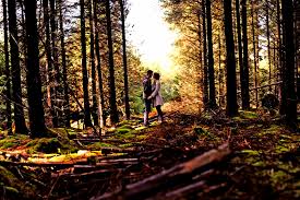 LiveExeter's tweet image. Magical Fairytale Forrest? Yes please! @FCHaldonForest lovely part of the world, good for a bike ride too #LiveExeter