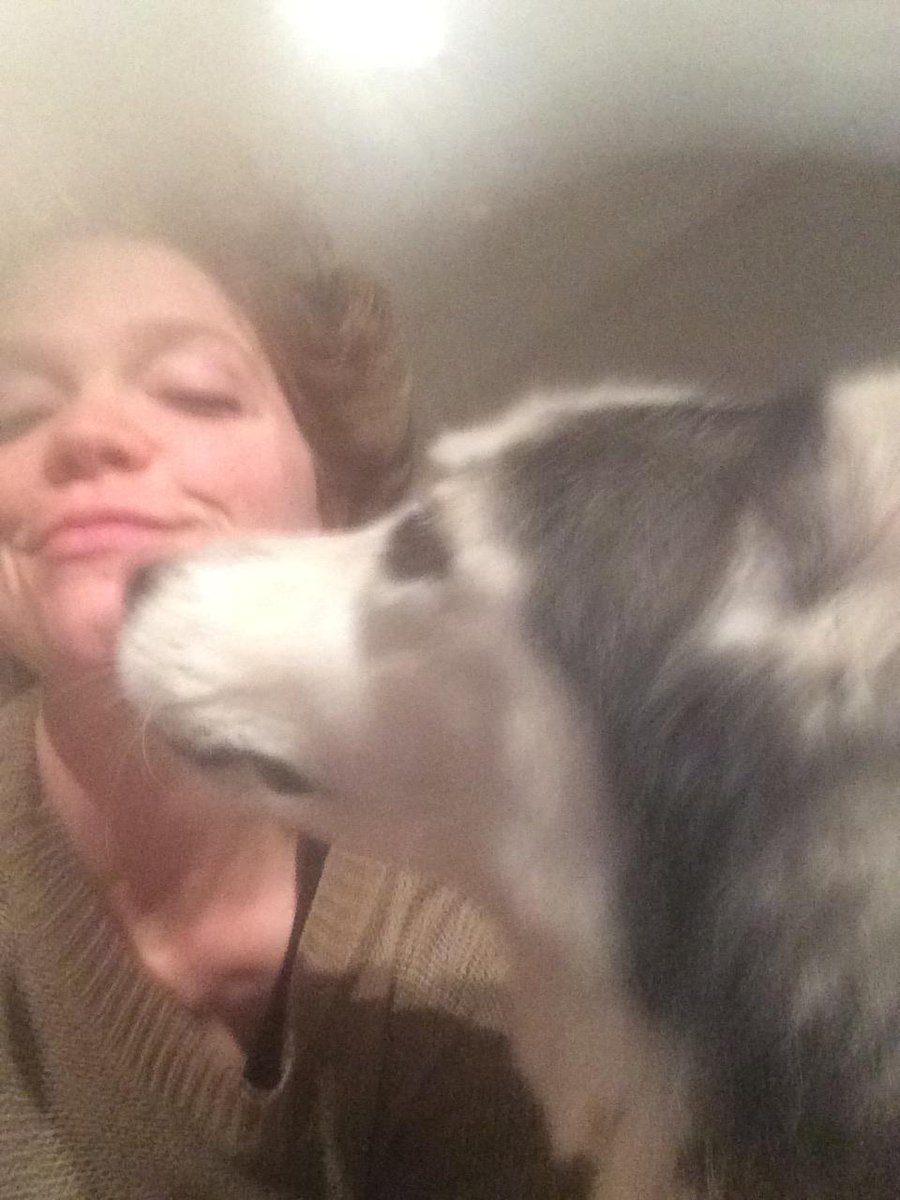 BouldersPetCare's tweet photo. Husky Kisses are the best! #dogsoftwitter #Huskies #boulderpetcare @petcare #dogkisses #boulderdog http://t.co/RioCb8sMYK
