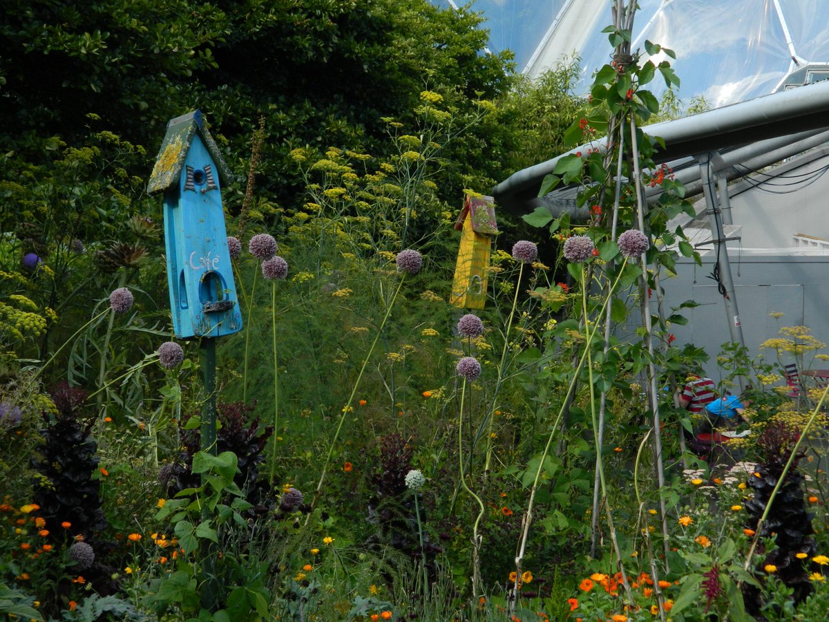 Alan_How's tweet photo. Eden is so beautiful, I went a bit snap-happy #edenphotocomp http://t.co/3dsLq6dFWO