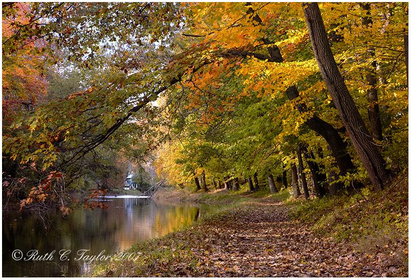 RuthCTaylor's tweet image. Looking forward to Autumn in #BucksCountyPA  :)