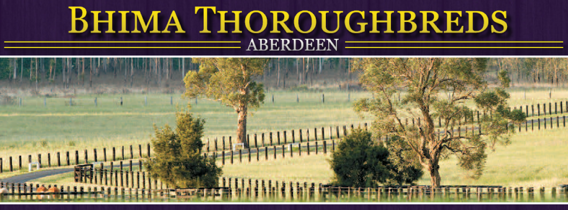 BhimaTBreds's tweet photo. We've set up a new FB page - Bhima Thoroughbreds, please Like and Share it, RTs also- https://t.co/KtDoPOG6vX http://t.co/SjMQ9VlQhS