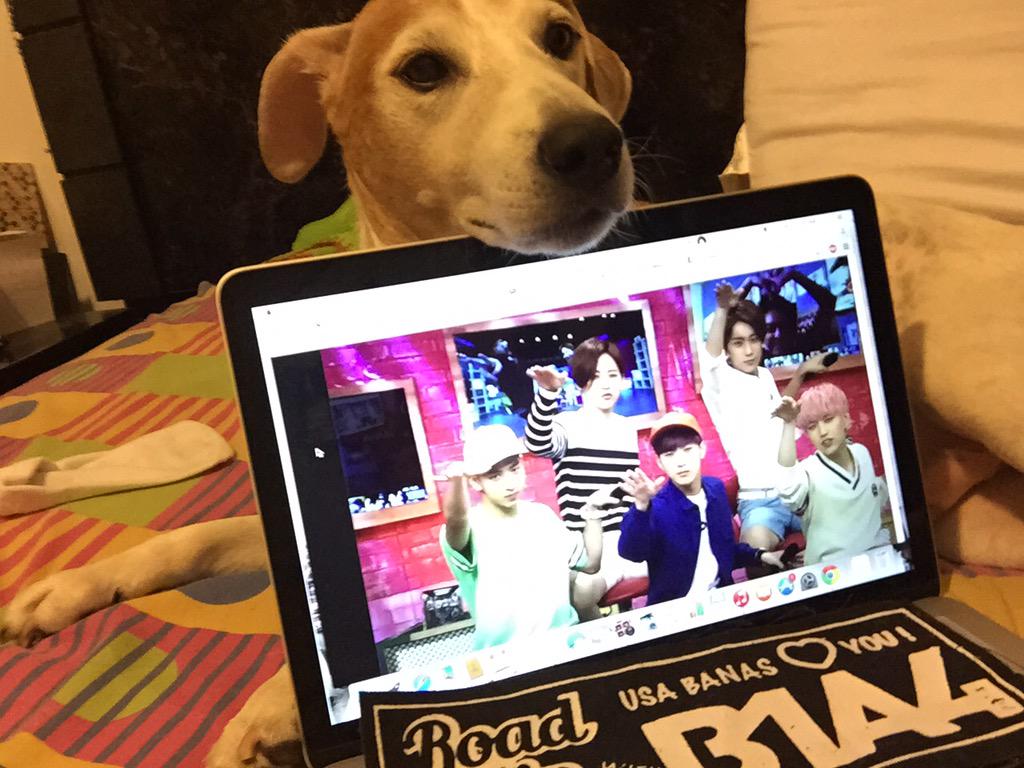 CallMeCherri's tweet photo. @arirang_ASC #SelcaASC #B1A4_ASC http://t.co/NF2WSb8Z7W