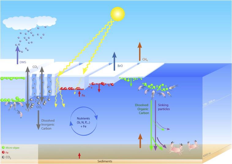 Role of sea ice in global biogeochemical cycles bit.ly/1E0f206
#Goldschmidt2015 complimenting keynotetalk