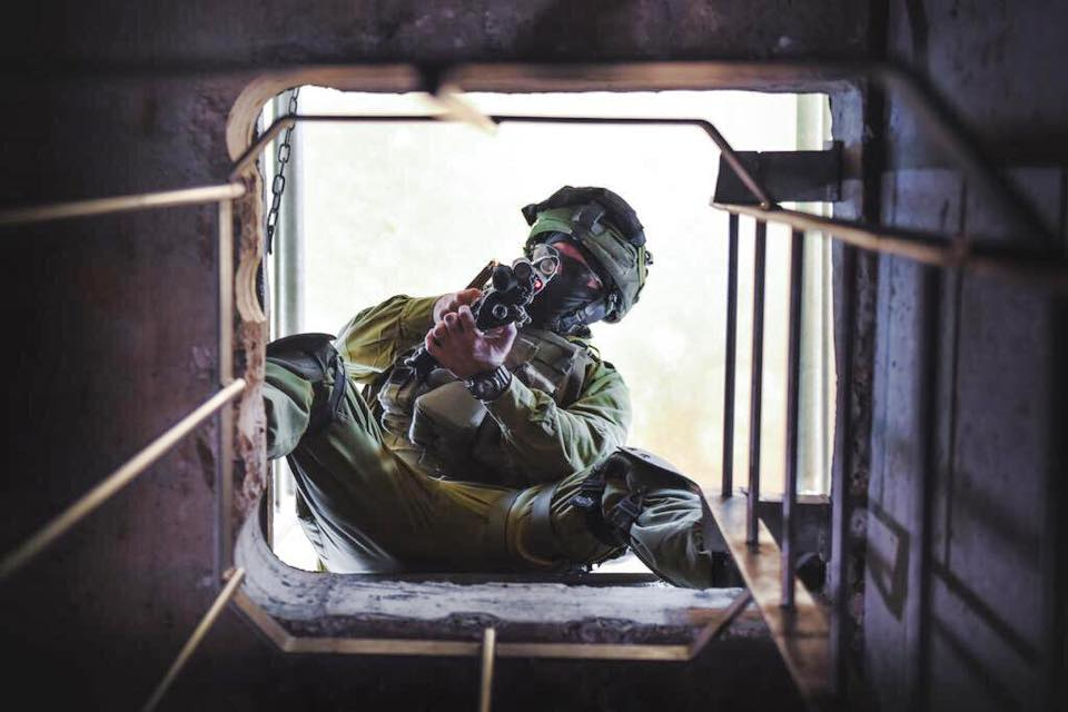 Alex Rotbart (@aligatoral) | Twitter