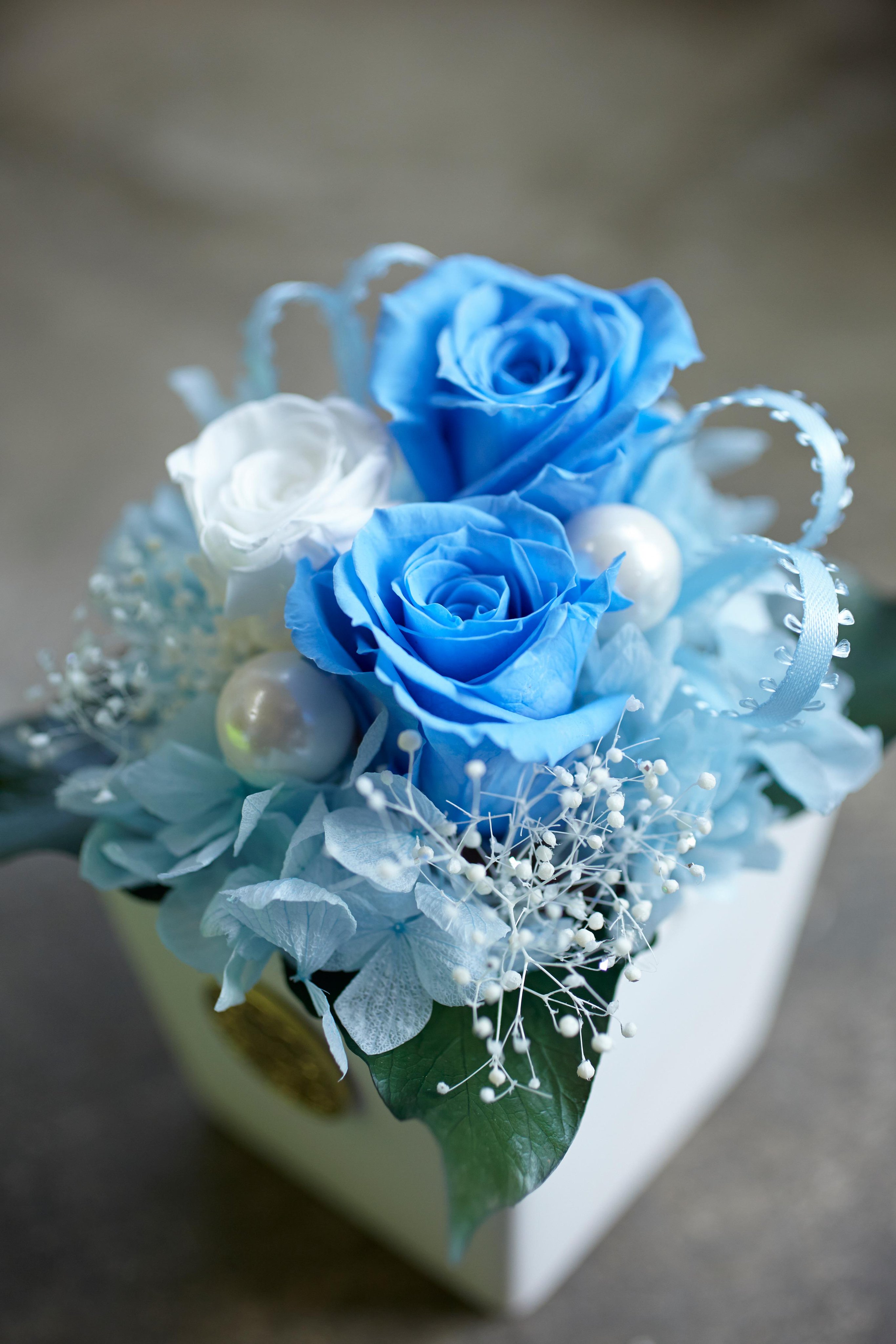 Hanahusa 花葉 Hanaya Hanayaka Twitter