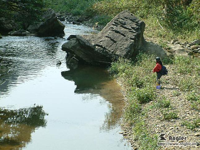 solotcom's tweet image. Fishing both fresh and saltwater species in Taipei. For more, visit Angler official website: angler.im/news/7hXxNN3vn…