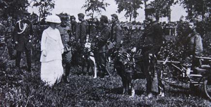 CEGC_project's tweet photo. #dogs in Dutch army, queen Wilhelmina visiting the troops in North Brabant 1915 #ww1 #Holland #1wo http://t.co/QmNsKRQTyz