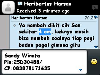 Sandywinata2 tweet picture