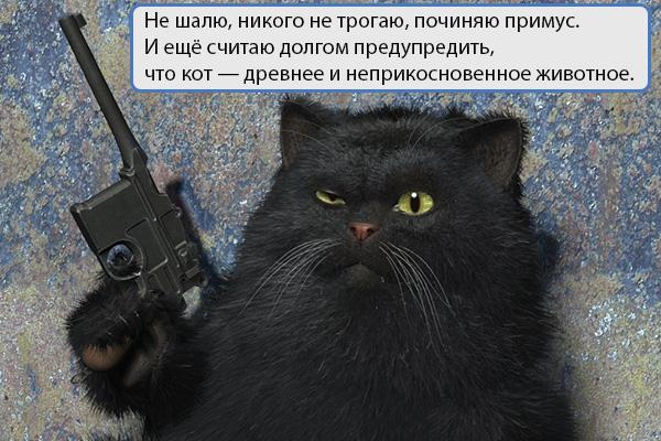 web_vortex's tweet image. 