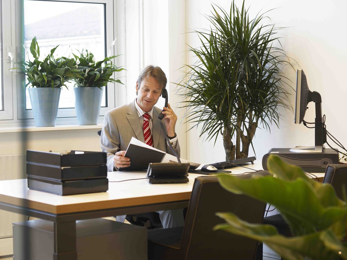 TeamOneES's tweet photo. Et si une simple plante verte au bureau pouvait améliorer votre bien-être? http://t.co/XXJyNod27J http://t.co/HJfRuN6caT