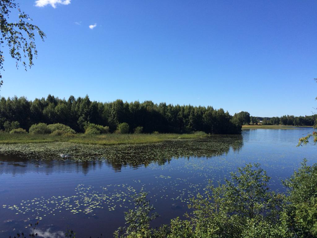 ukattilakoski's tweet photo. #camphapetus #allerfi #maalla #kaunista #suomenluonto #rauha #joutsenetkinviihtyy #ulpukatvallanneetjärven http://t.co/EPCjDykd4c