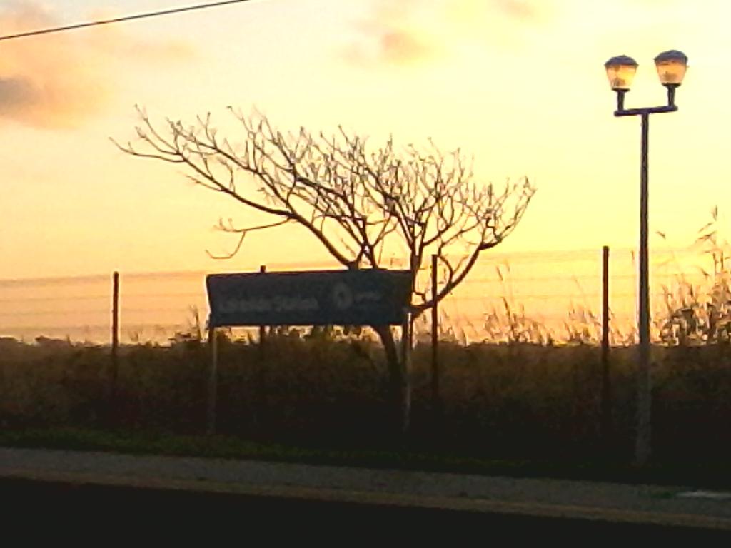 MorbidMeggii's tweet photo. Just another beautiful day in Cape Town~ http://t.co/yacmwJsdEX
