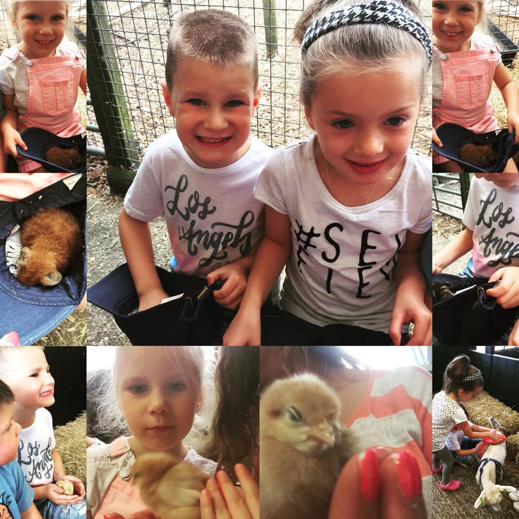 lozza_bea's tweet image. #farm #fun #6weeksofsummer