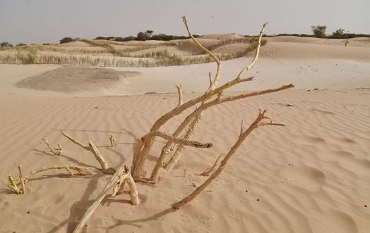 actionrebuts's tweet photo. Saviez-vous que nous vivions à crédit sur les réserves de la nature ? Réduisons! #SQRD
http://t.co/bp9JWfXmoU http://t.co/Z70lPNLTFz