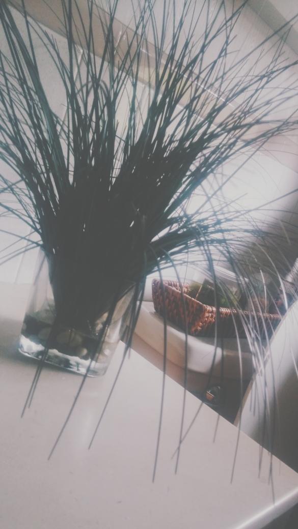 samantha_SIMOS's tweet photo. Yo I'm selling these photos for $3 each let me know of u want one just tweet me or direct message me http://t.co/W0YVwRHRxG