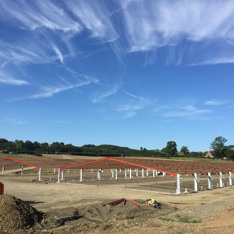 Brian Moxon tweet media