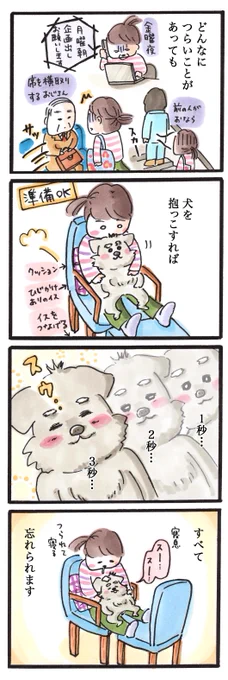 犬と寝る

#犬 #4コマ 