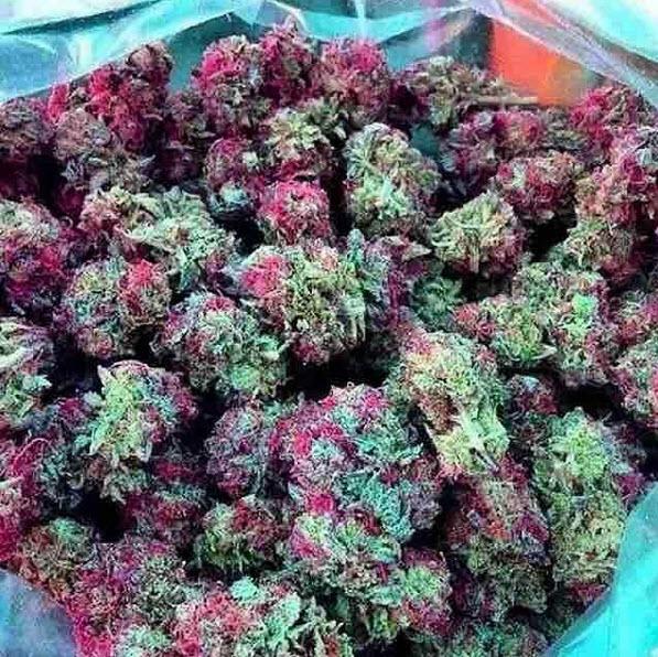 dubyapp's tweet photo. Take your pick...π #π #smokewithme #ganja #flymetothemoon #checkitout #π₯ππ¨ #lifelifted #uphere #dubyapproved ππ₯ http://t.co/DZq7GflKOl