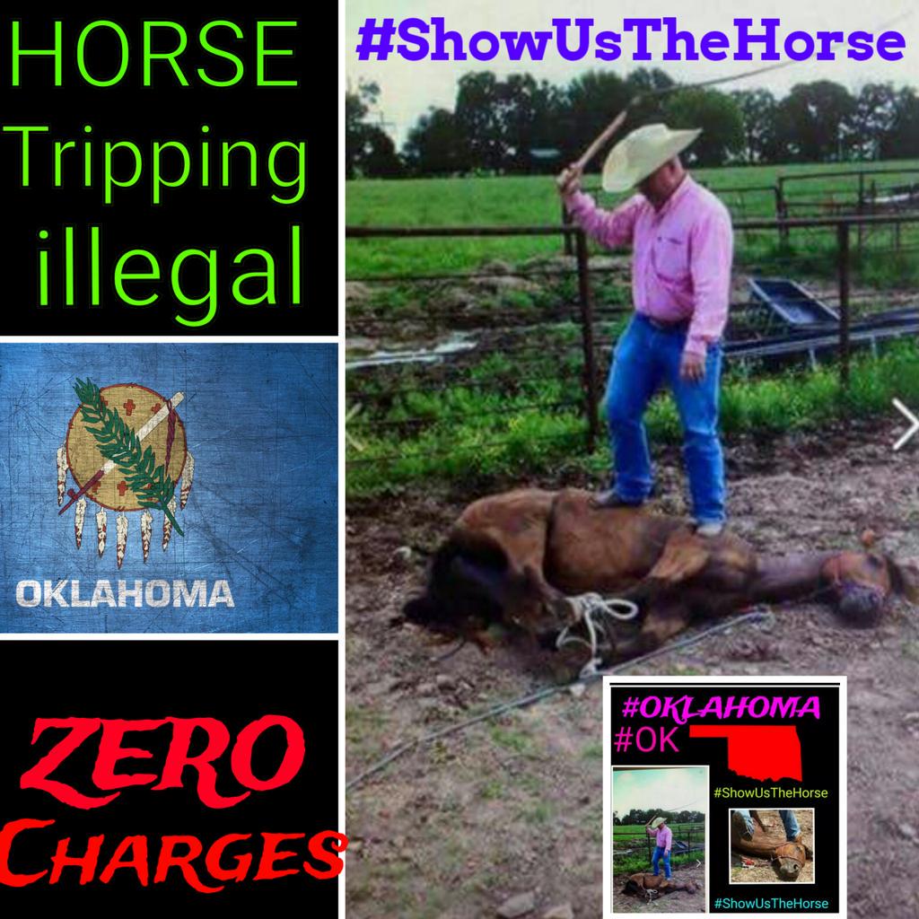 HorseinOKabused's tweet photo. 🙌
RT&HELP🐎
👀FB- https://t.co/oXlGun52TB
📝PETITION- http://t.co/YSmYMfd6bX
☎DA #MATLOFF 580.286.7611
#ShowUsTheHorse http://t.co/Tfkdj0DGIE