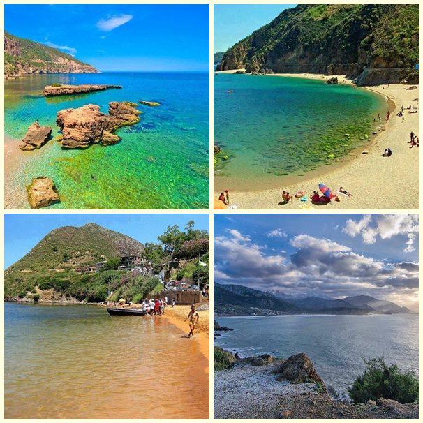 TwitteAlgerie's tweet photo. Russicada Skikda #الجزائر #Algerie #algeria http://t.co/LXWG264bH2