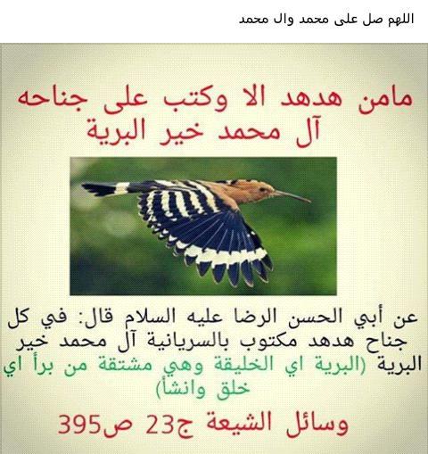 8d53de68a5dc4a2's tweet photo. http://t.co/9JWXHWsJYS