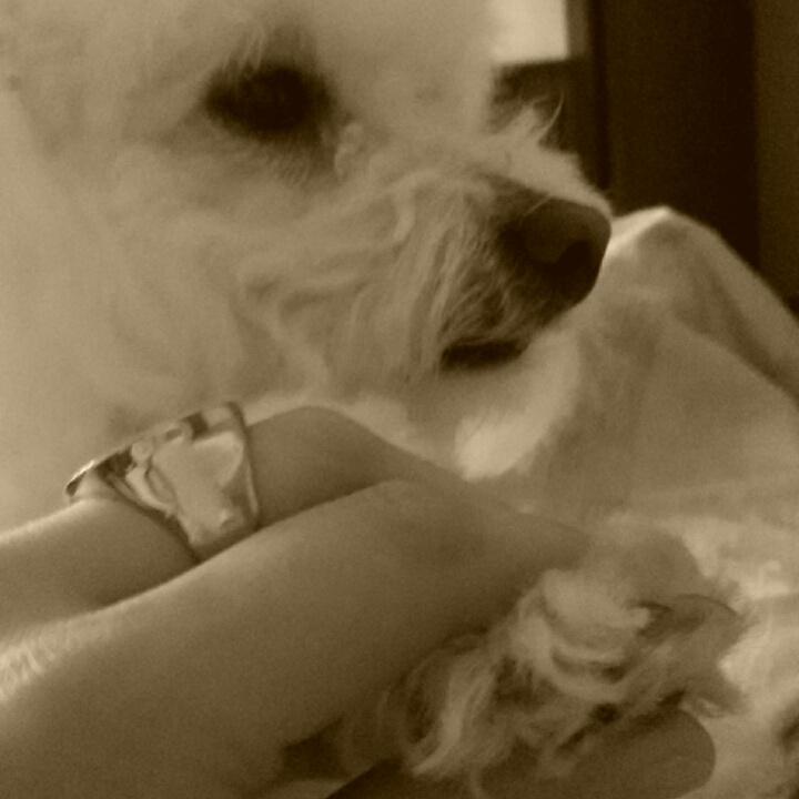 CVariegati's tweet photo. Amarte Larita hermosa💟💟 http://t.co/TqaTBhzBfV