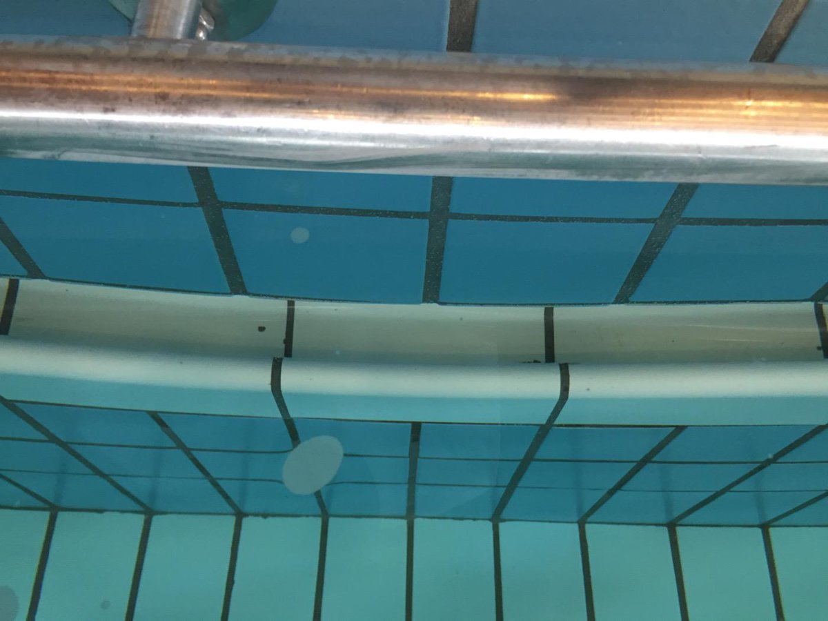 HoekdenHolder's tweet photo. Eindresultaat van het voegwerk # Ir ottenbad . Met dank aan @codex_NL. http://t.co/ISi6wwG4aM