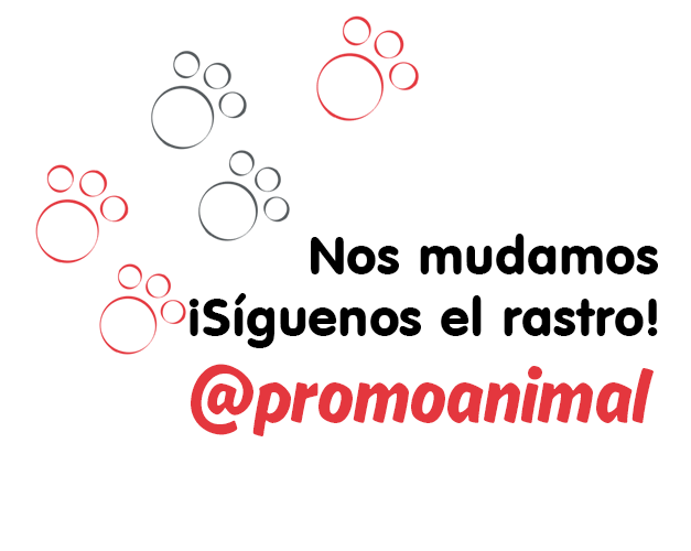 Promo_Animal's tweet photo. Tenemos nueva cuenta! ¿Nos sigues? @promoanimal http://t.co/fUJOvPzHgY