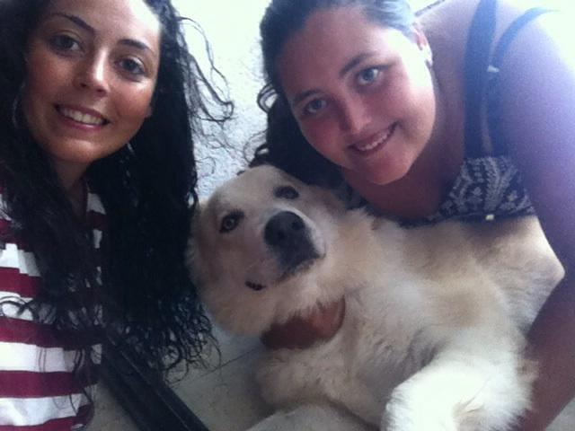 Thaismg5's tweet image. A el también le encanta viajar en vacaciones @SandraBarnedaa  @Renfe  @Change  @MariaLady_  #unomasencasa