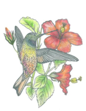 55 Amazing Hummingbird Tattoo Designs  Art and Design