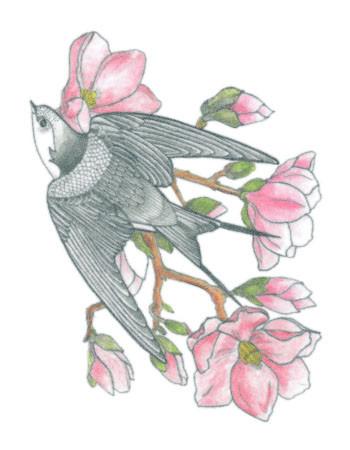 Tattooed Now tweet media