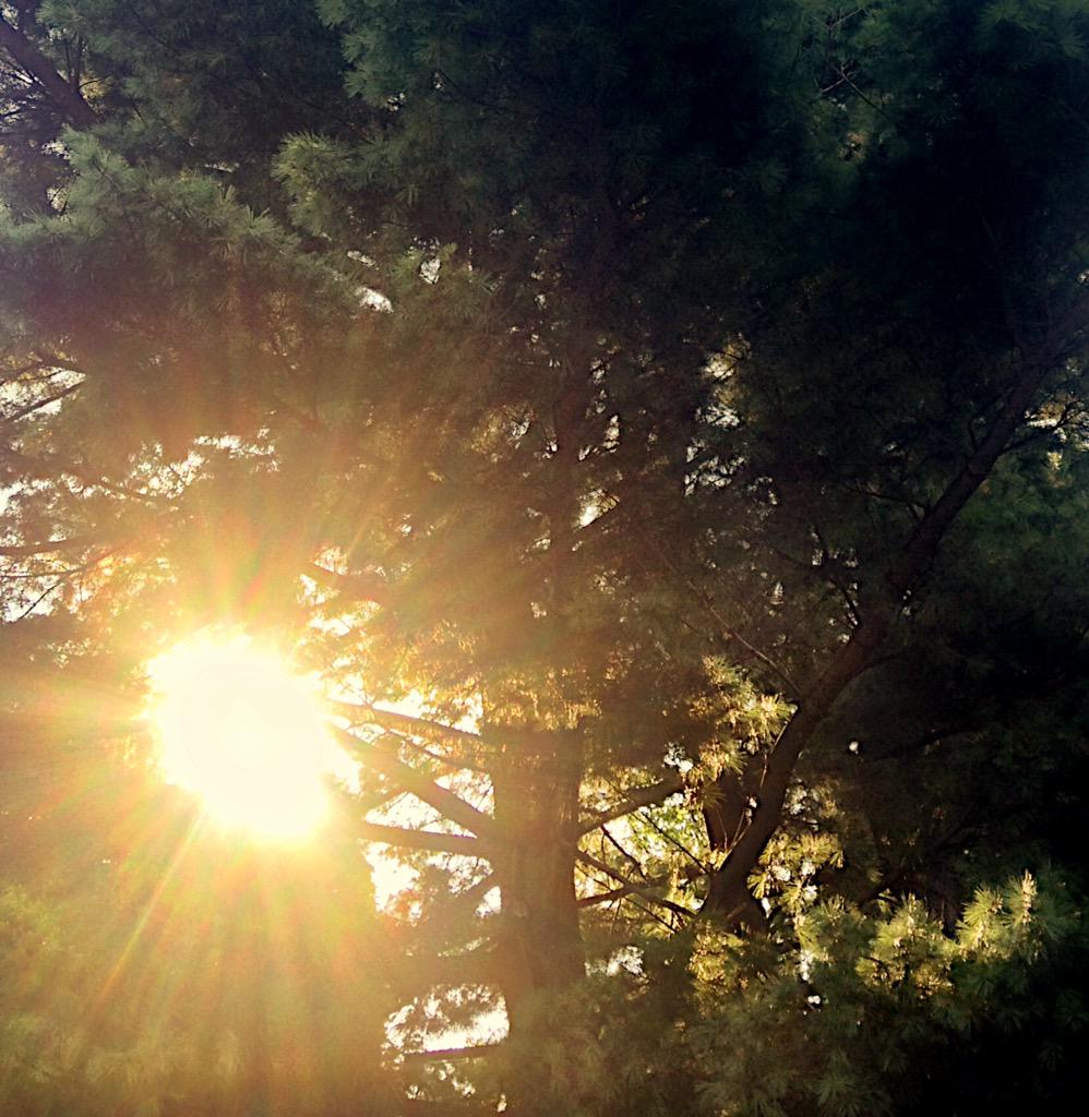 MLar030's tweet photo. @ACPSO #ACPSO #brighterthantimhere http://t.co/3uFbYwWGA3