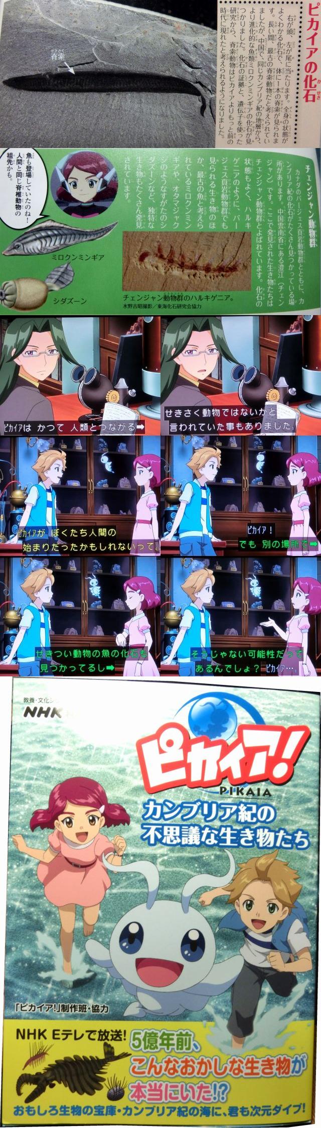 P2 魔女おじさん Eテレsfアニメ ピカイア 地質時代を日高屋みたいに言うな T Co 3otfedn0qe Twitter