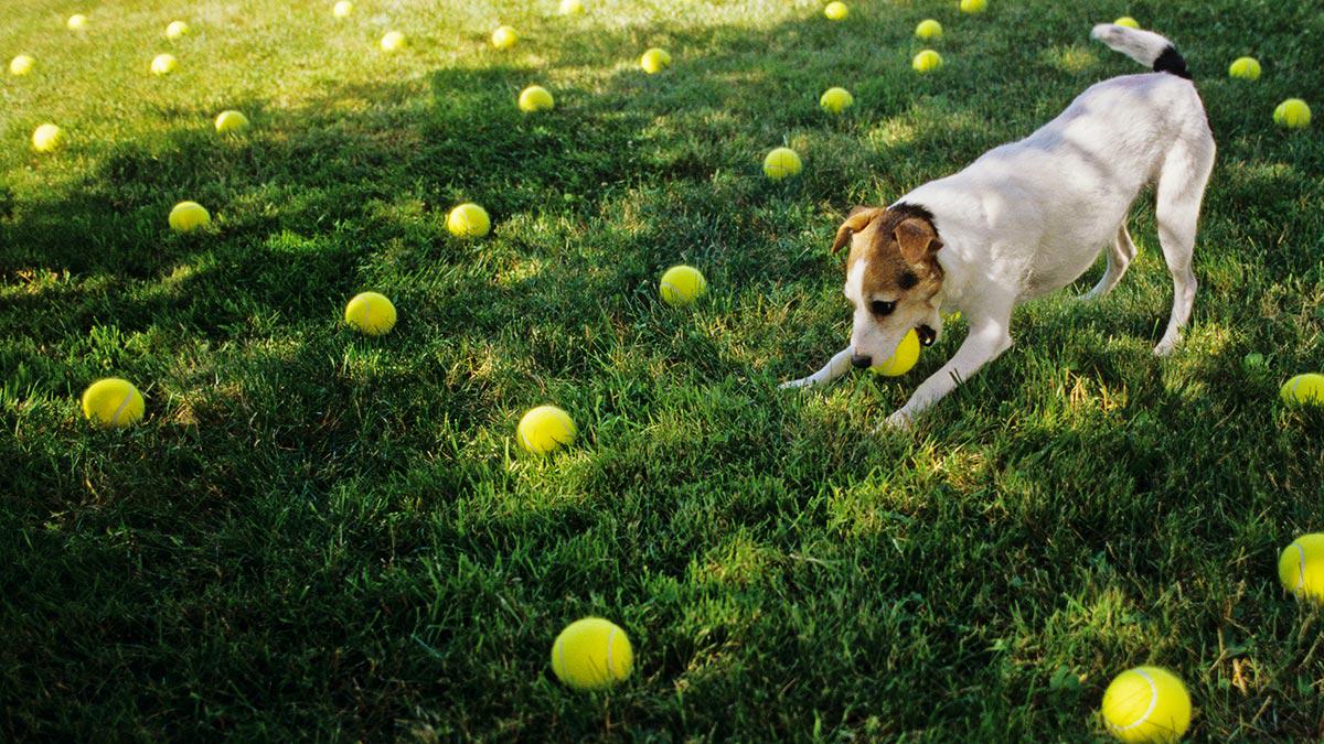 HarvardBiz's tweet photo. How to Get Employees Excited to Do Their Work http://t.co/eR2nnAwd50 http://t.co/XuMDNGwBBA