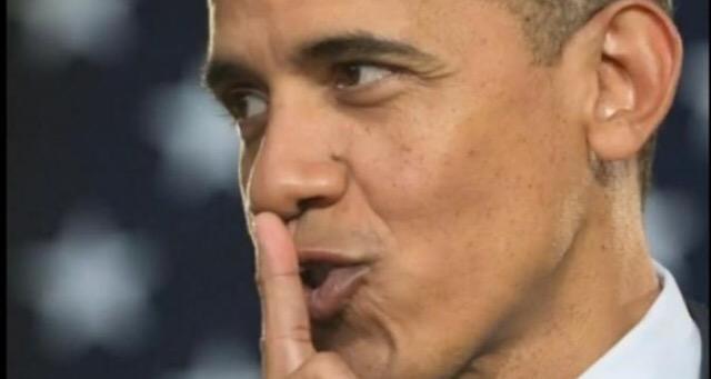 volleyballislife tweet media